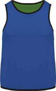 Proact PA046 - Kids' reversible rugby bib Sporty Royal Blue / Green